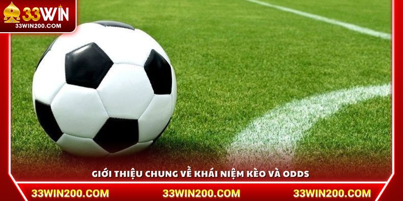 Giới thiệu chung về khái niệm kèo và odds 