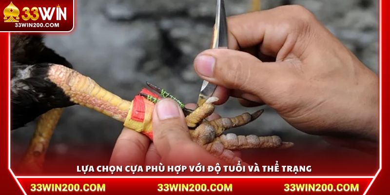 Lựa chọn cựa phù hợp với độ tuổi và thể trạng 